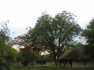 733 Namibia Okt 2006 .JPG